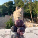 Figs from the garden